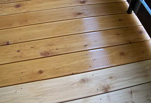 Tarasy, Modrzew syberyjski, Legionowo. Foto06.