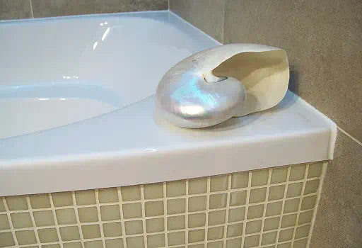 Łazienka Legionowo, sierpień 2019. Foto10.