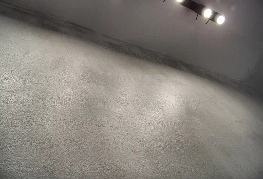 Realizacja, POLONIKA, luty 2020. Foto03.