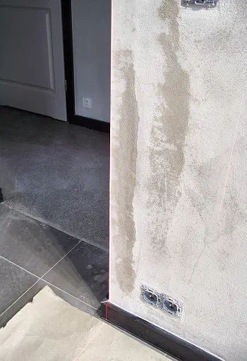 Realizacja, POLONIKA, luty 2020. Foto02.